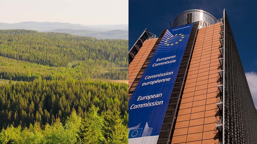 skogslandskap och eu-kommissionen