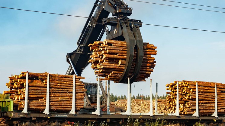 Avlastning av timmer från järnvägsvagnar i finska Kouvola.