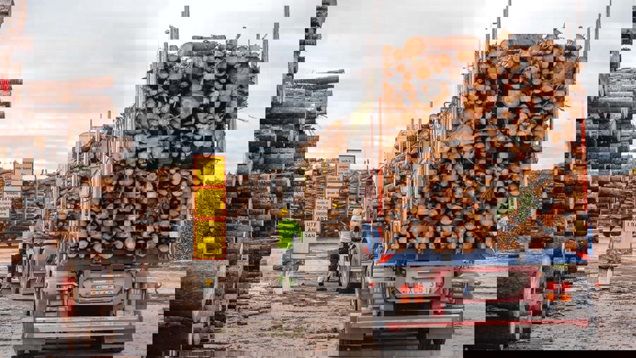 timmerbil som lastas med timmer