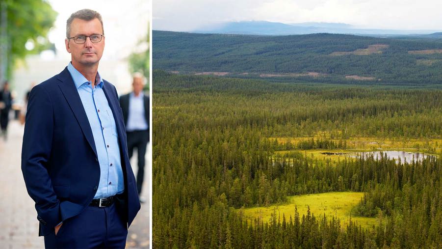 magnus berg och skog