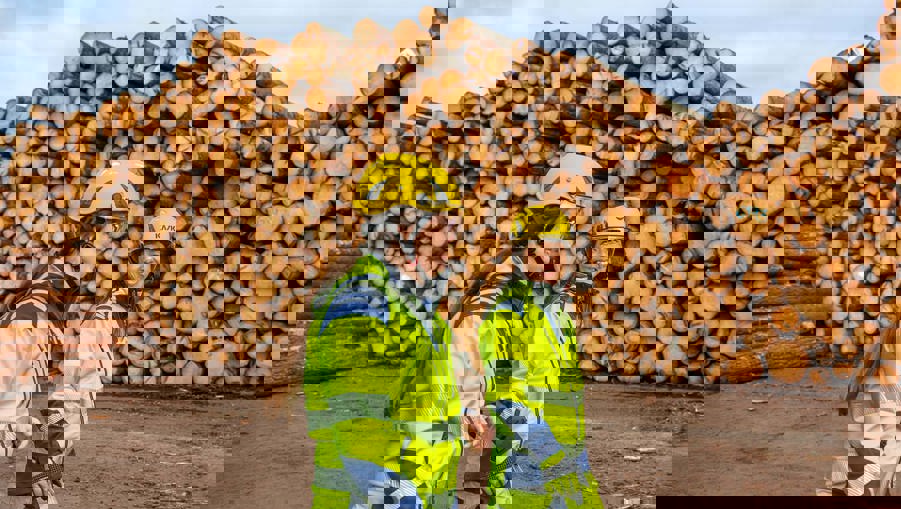 Bild från sågverk i Folkesta