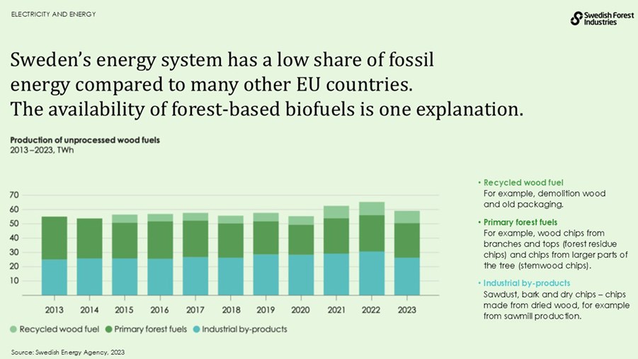 Sweden’s energy system has a low share of fossil energy compared to many other EU countries.The availability of forest-based biofuels is one explanation.