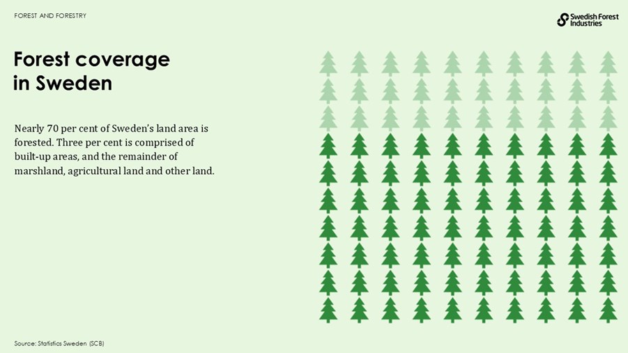 Forest coverage in sweden